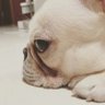 Ron 的头像