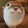すず 的头像