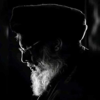alihijaziy's profile picture