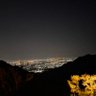 Sh-Rd's profile picture