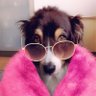 LeroyNifty 的头像