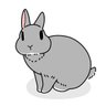 🐰sal🐰 profil fotoğrafı