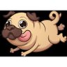 dpuglover14 ็ๅคดๅ