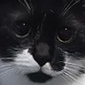 🐈⬛N🅰️H🅰️D🐈⬛ profil fotoğrafı