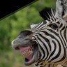 gyani 2.0 profil fotoğrafı