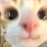 Profilbild von Wearyclary