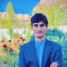 Syed shahinshah 的头像