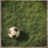Ali King's profile picture