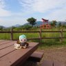 が~な's profile picture