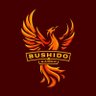 BushidoXgamer 的头像