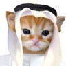 Habibi's profile picture