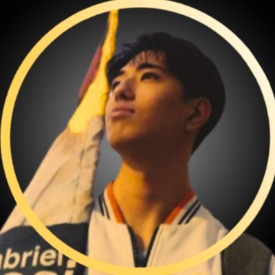 RibeiroHikage's profile picture