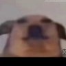 Tommy's profile picture