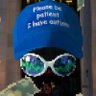 Profilbild von JEPPFREE💹🧲