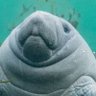 Profilbild von Sam