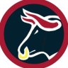 looshin's profile picture