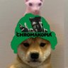 jacobthepig 的头像
