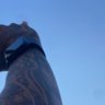 tá falado's profile picture