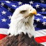 Patriot Updates profil fotoğrafı
