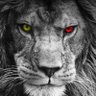 Profilbild von T Magic