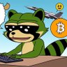 Фото профиля alpha raccoon