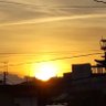 Profilbild von さくら