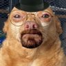 Profilbild von Darkstein