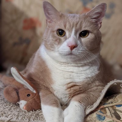 Demon1___'s profile picture