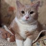 Demon1 profil fotoğrafı