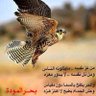 ABO QSAY profil fotoğrafı