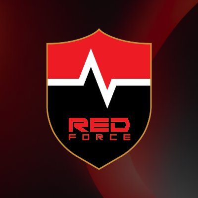 NS RedForce Valorant's profile picture