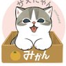 Profilbild von ひろちゅ