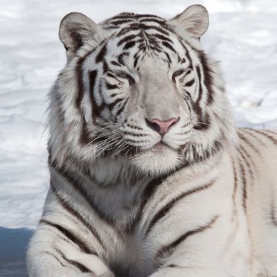 Darkandlig666's profile picture
