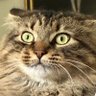 cuz profil fotoğrafı