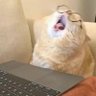 Clarie.'s profile picture