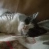 CrissyW profil fotoğrafı