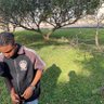 DOOBY 的头像