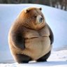BEARHUG profil fotoğrafı