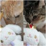 ささらら 的头像
