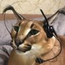 LCFG_AHRE profil fotoğrafı