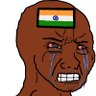the true indologist profil fotoğrafı