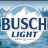 Busch's profile picture