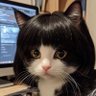 melisaa 的头像