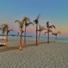 Фото профиля palm beach