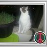 Фото профиля Clyde Katt