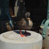 本音で生きたい世の中 的头像