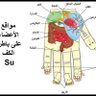 Profilbild von ابوعبدالرحمن