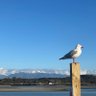 David zhu profil fotoğrafı
