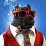 cryptodog's profile picture