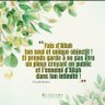 AbdelWahab_a_vie's profile picture